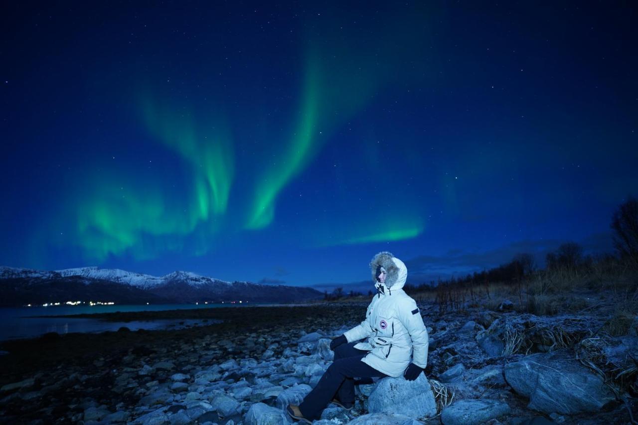 Arctic Rektor
