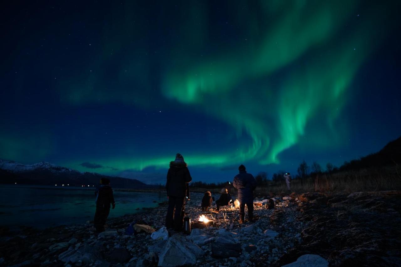 Séjour chez l'habitant Arctic Rektor